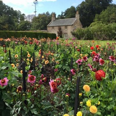 B体育手机版在线