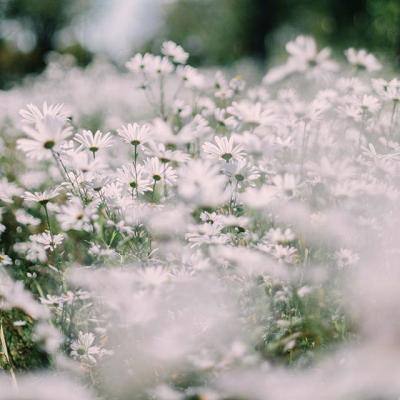 斗牛游戏大厅下载手机版