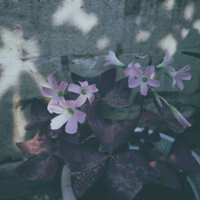 九州官网十年信誉玩家首选手机app下载