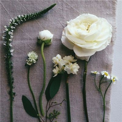 打鱼下载手机app下载截图