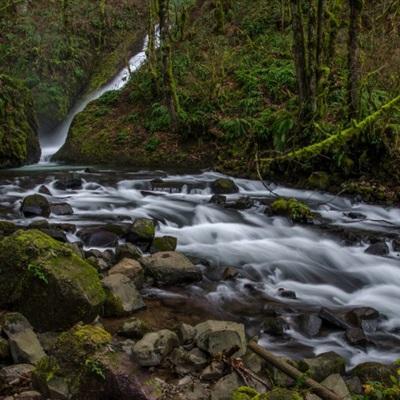 亚洲体育官网登录